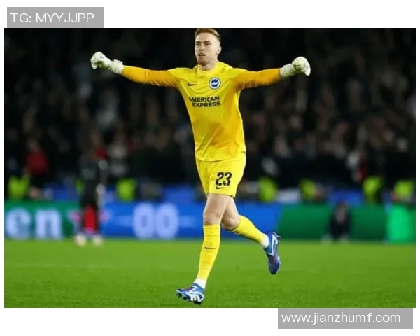 桑德兰对阵布流浪精彩直播全程回顾与赛后分析