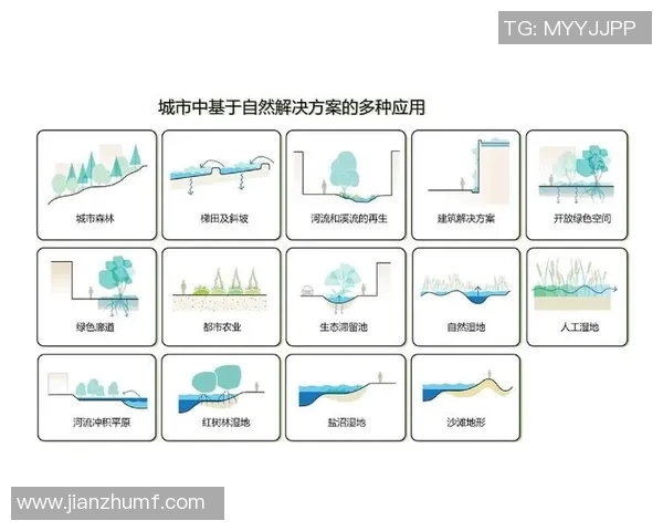 圣何塞地震对比纽约城的城市韧性与应急管理策略分析